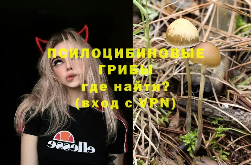 где найти наркотики  Гремячинск  Галлюциногенные грибы GOLDEN TEACHER 